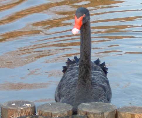 ���������E�����̐��ʊ�