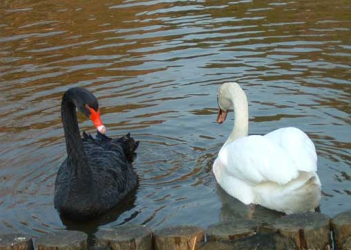 ���������E�����ƍ���