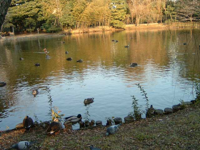 ���������E�Ō�ɑS�i�ʐ^