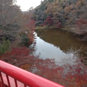 泉自然公園の紅葉その4
